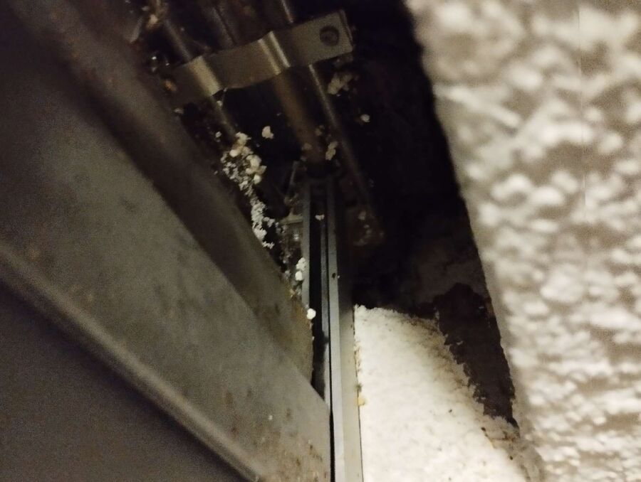 wespennest_entfernen