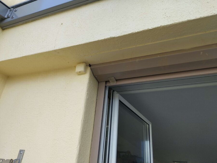 wespennest_entfernen