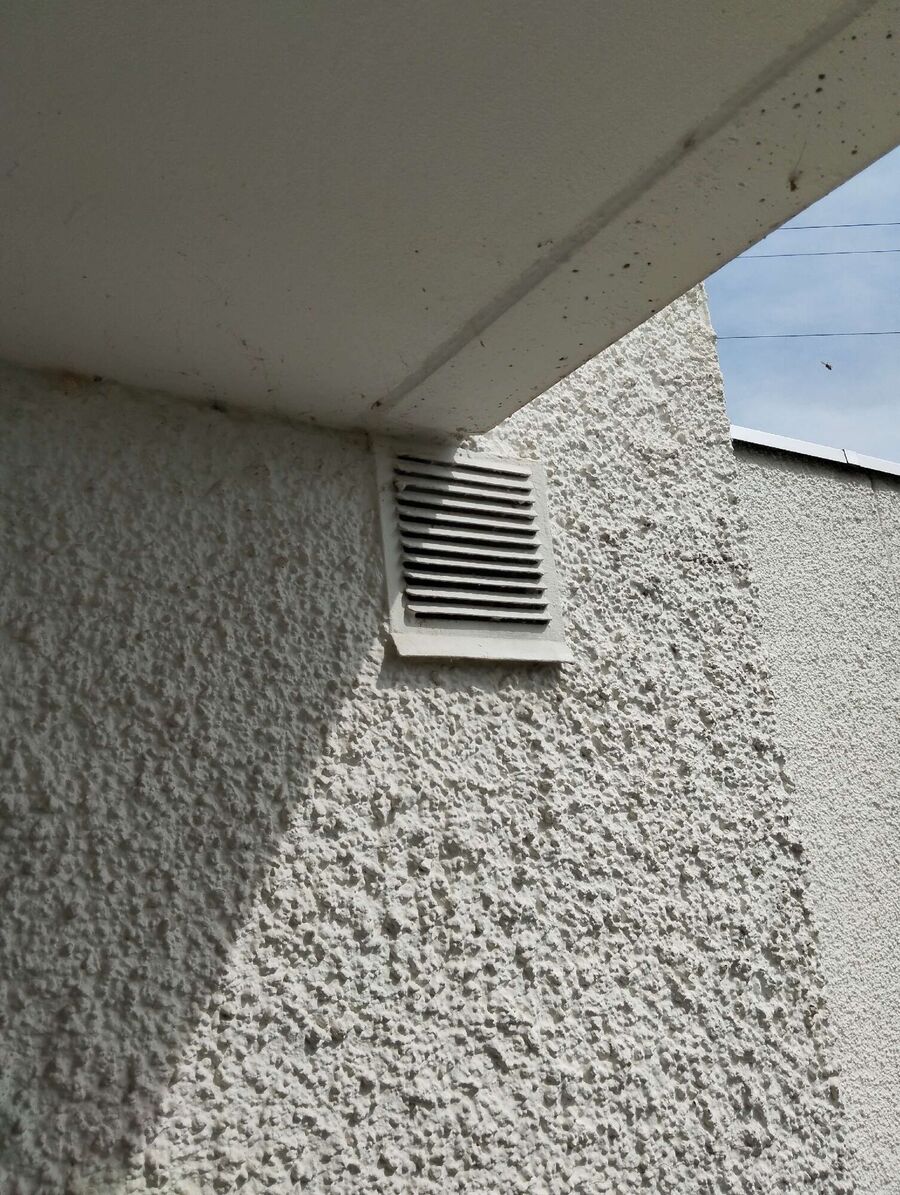 wespennest_entfernen