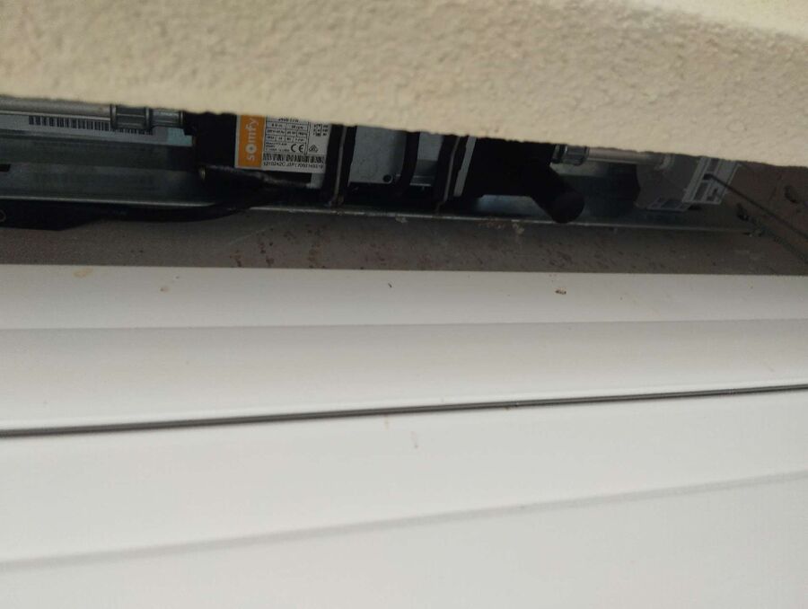 wespennest_entfernen