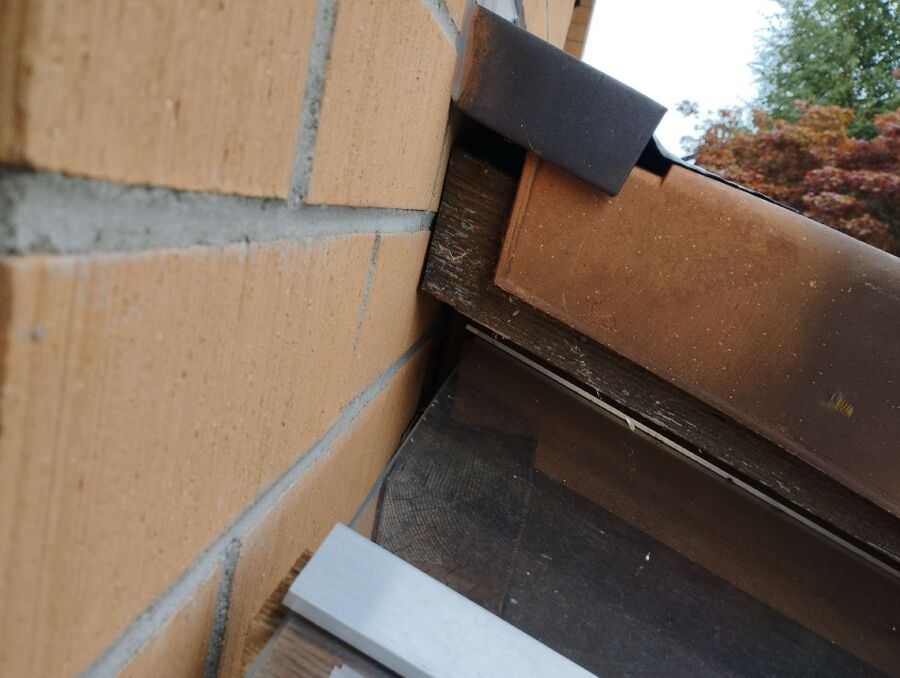 wespennest_entfernen