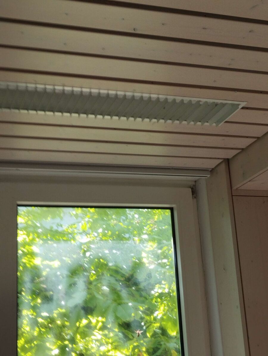 wespennest_entfernen