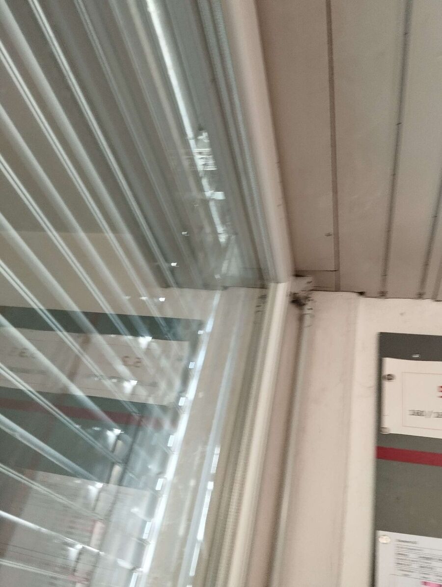 wespennest_entfernen