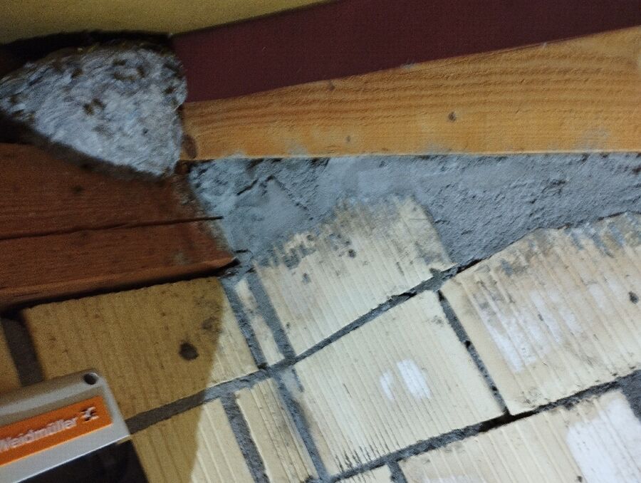 wespennest_entfernen