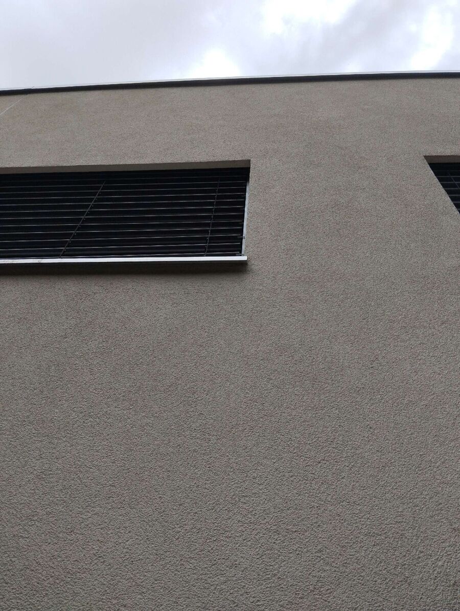 wespennest_entfernen