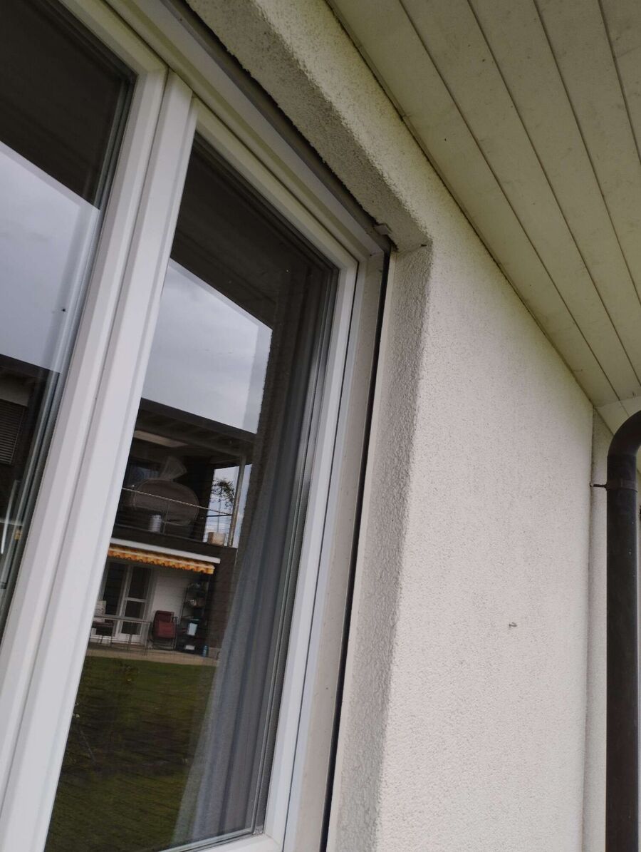 wespennest_entfernen