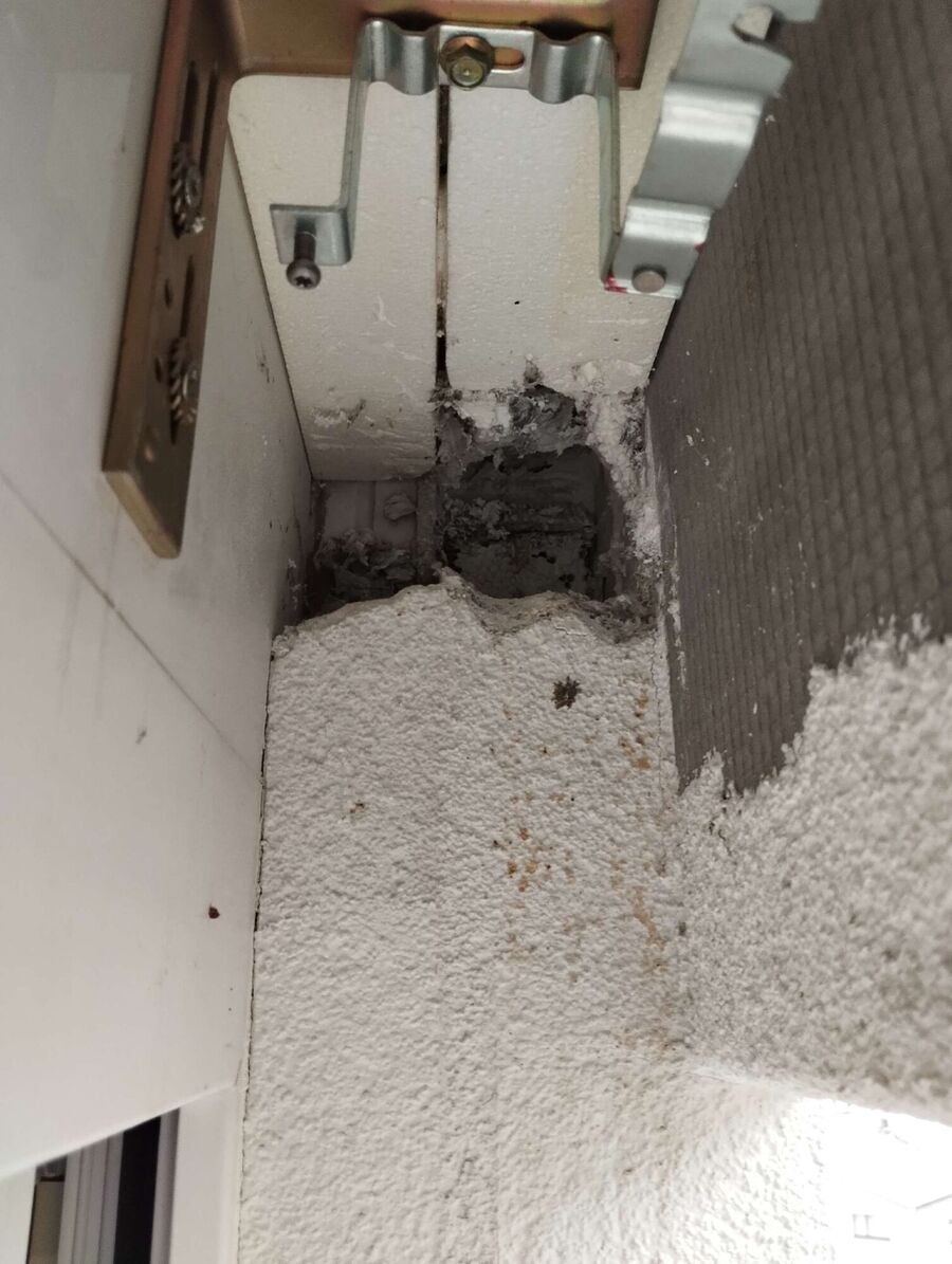 wespennest_entfernen