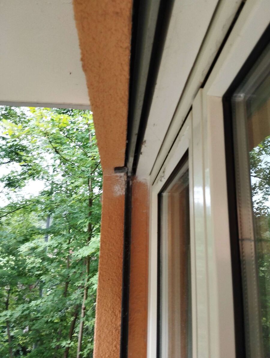 wespennest_entfernen