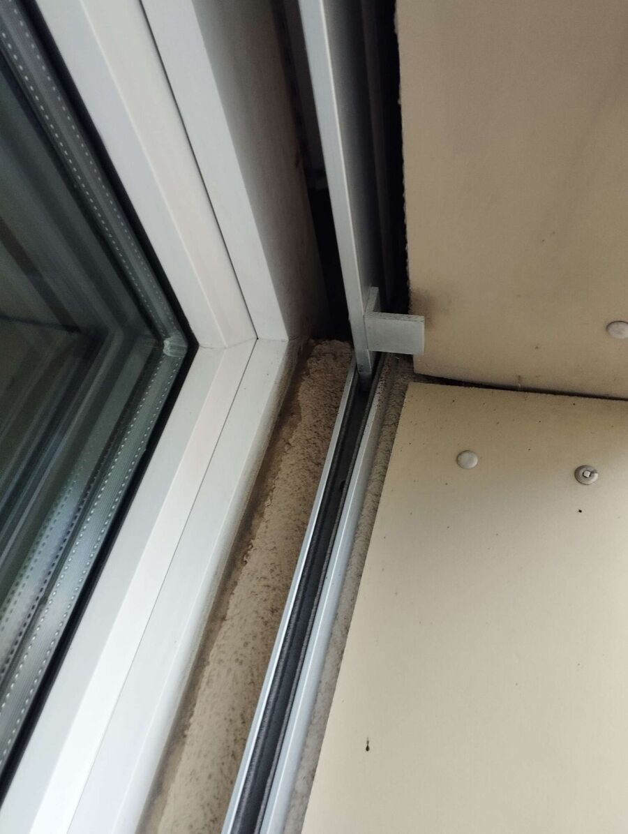 wespennest_entfernen