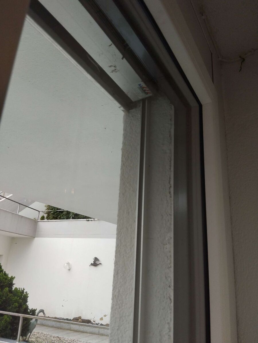 wespennest_entfernen