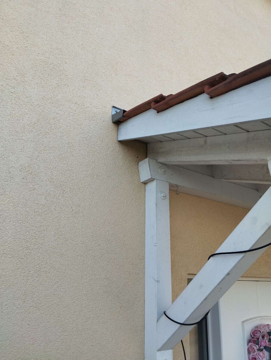 wespennest_entfernen