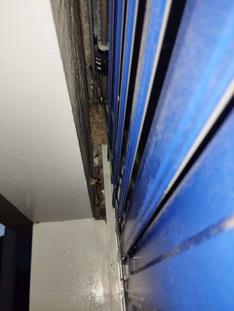 wespennest_entfernen