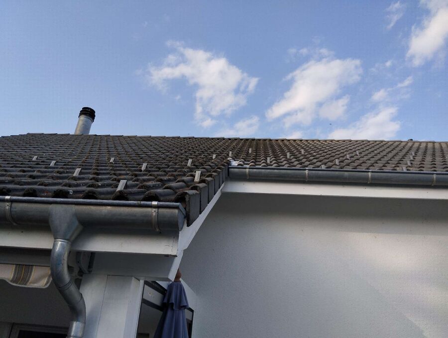 wespennest_entfernen