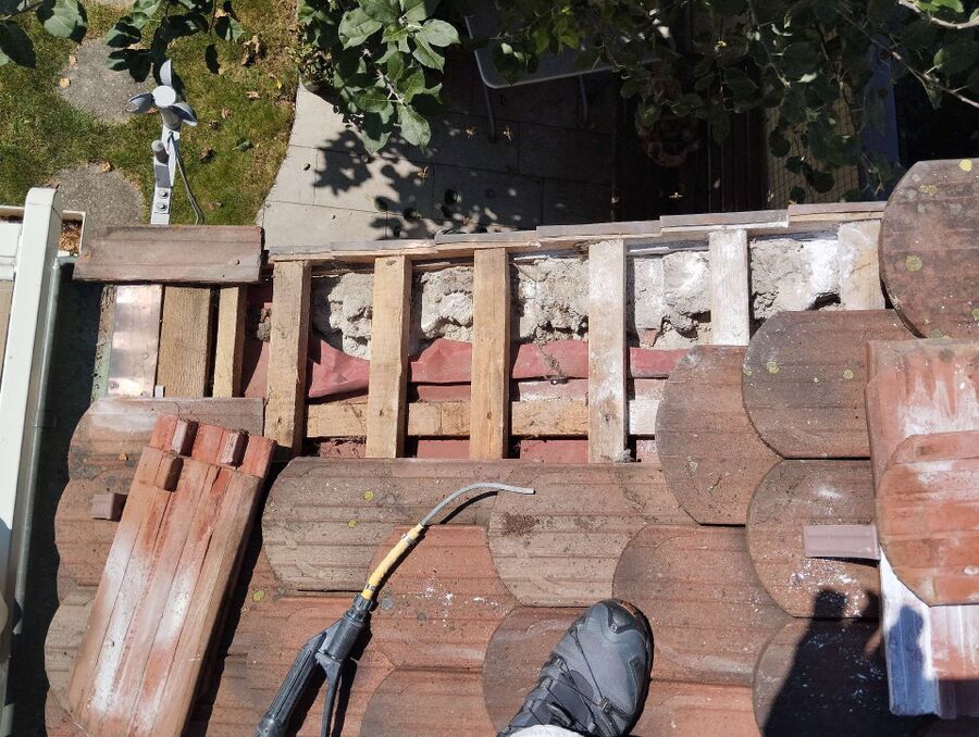 wespennest_entfernen