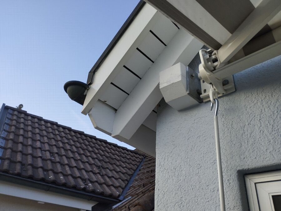 wespennest_entfernen