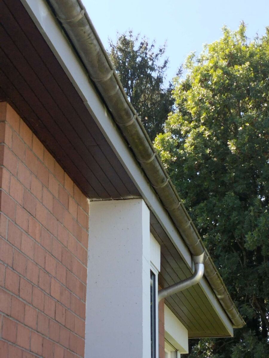 wespennest_entfernen