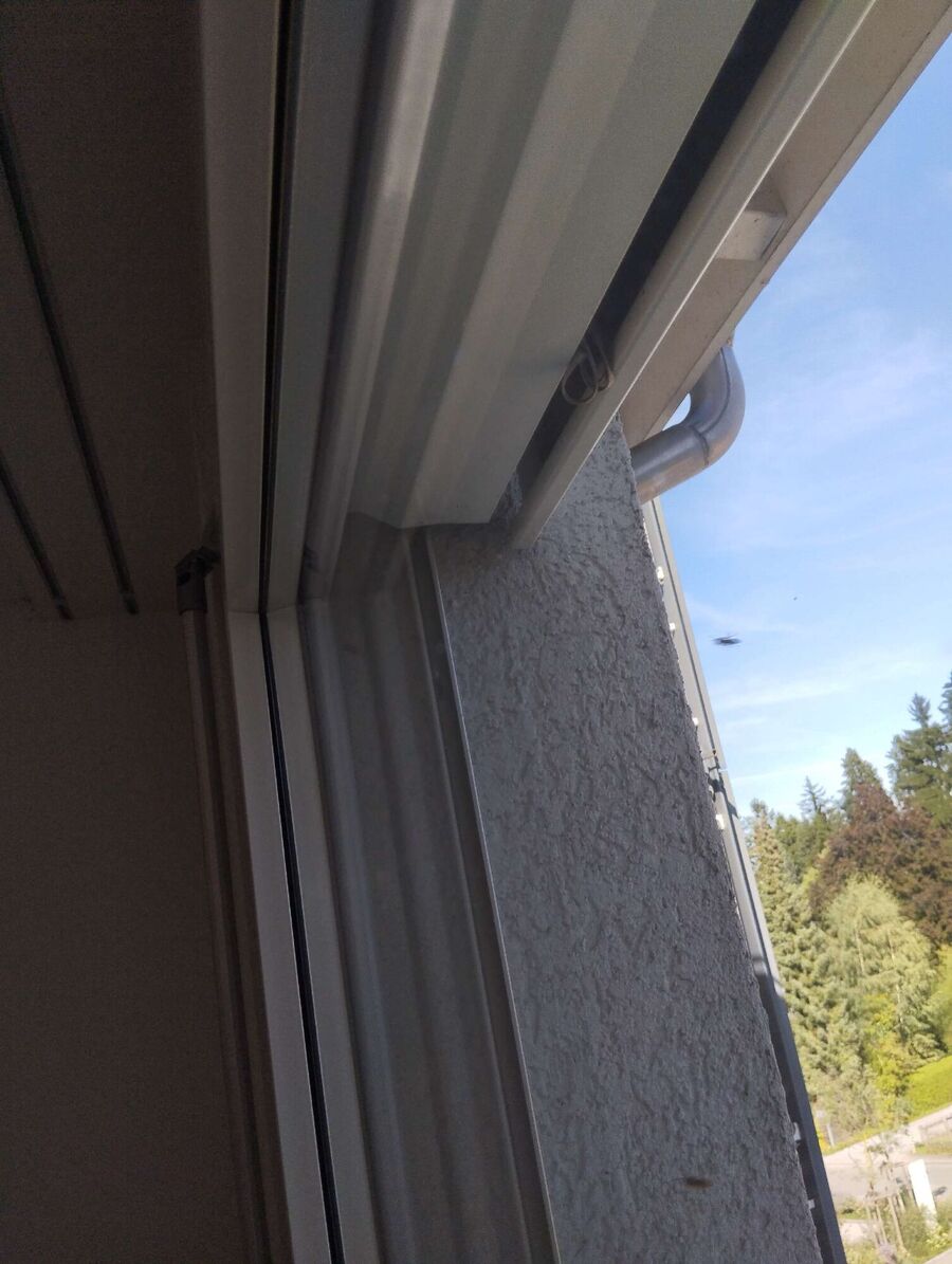 wespennest_entfernen