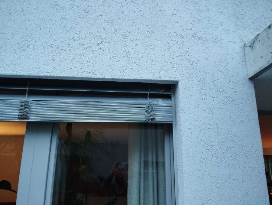 wespennest_entfernen