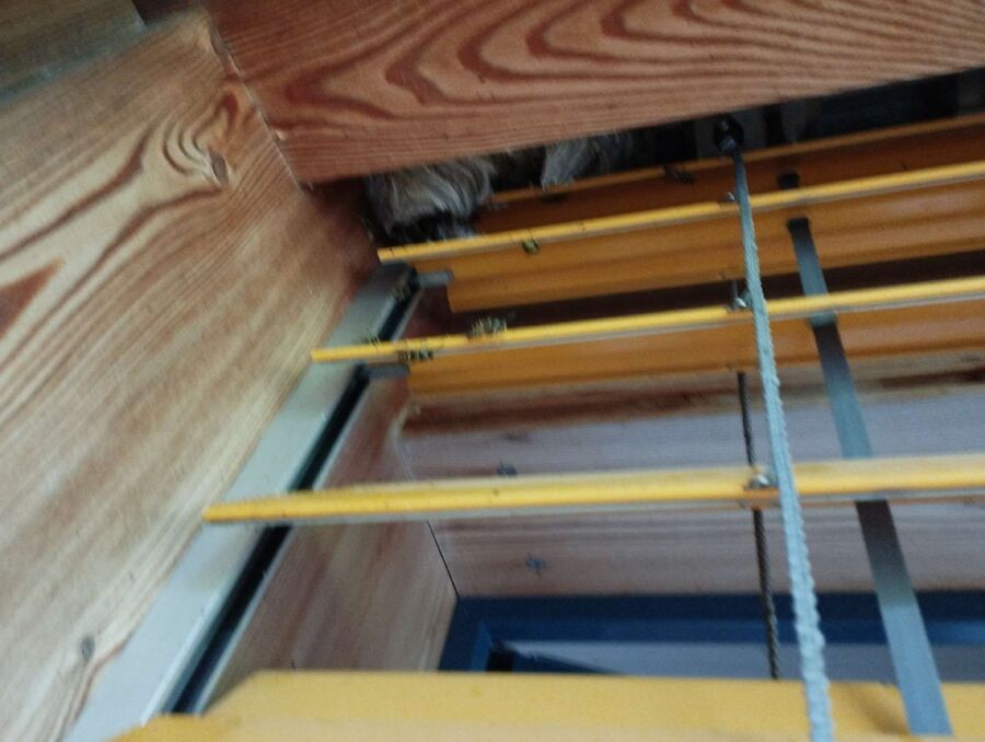 wespennest_entfernen