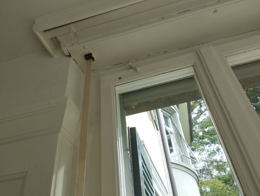 wespennest_entfernen