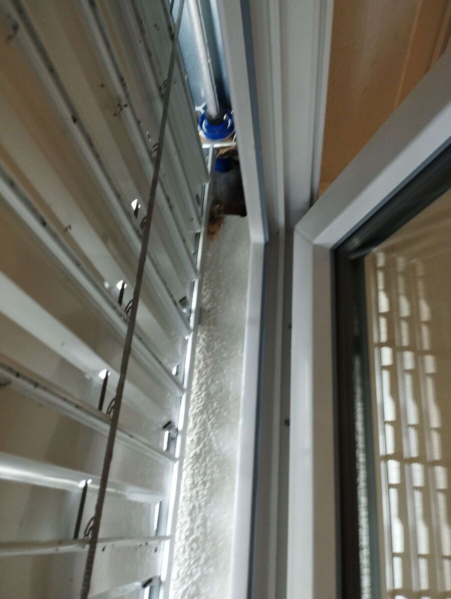 wespennest_entfernen