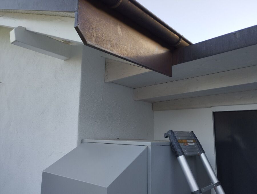 wespennest_entfernen