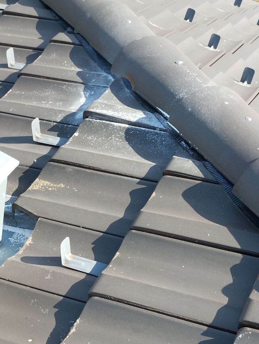 wespennest_entfernen