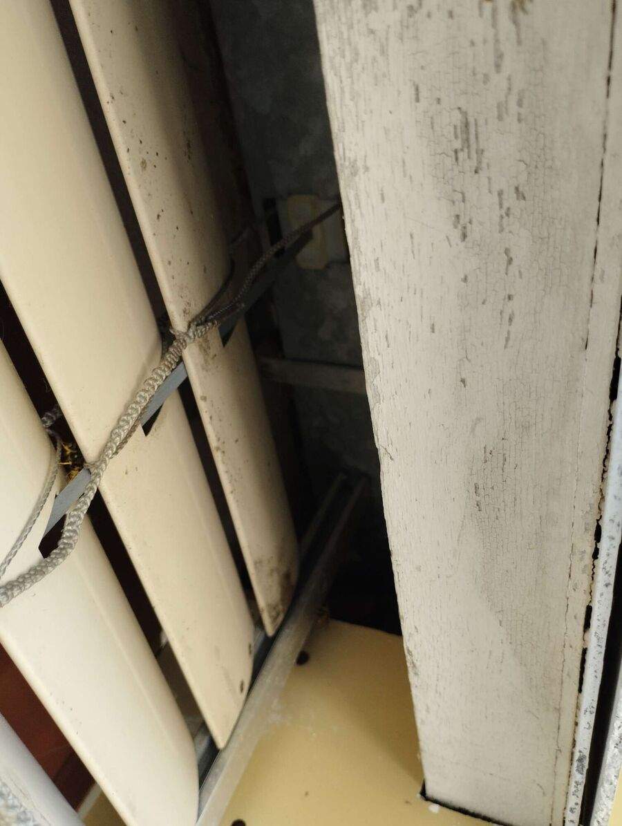 wespennest_entfernen