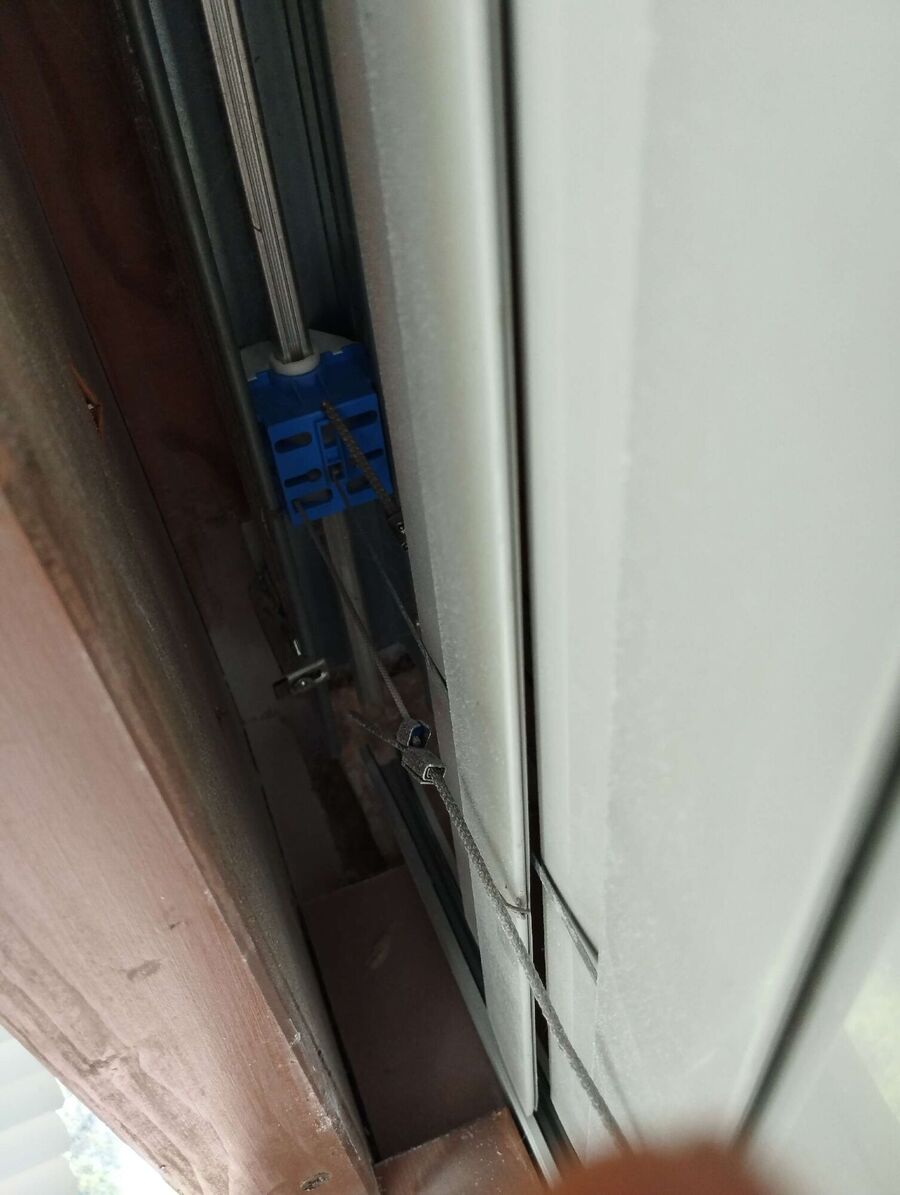 wespennest_entfernen