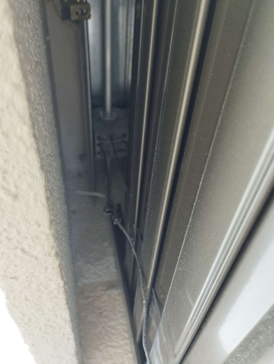 wespennest_entfernen