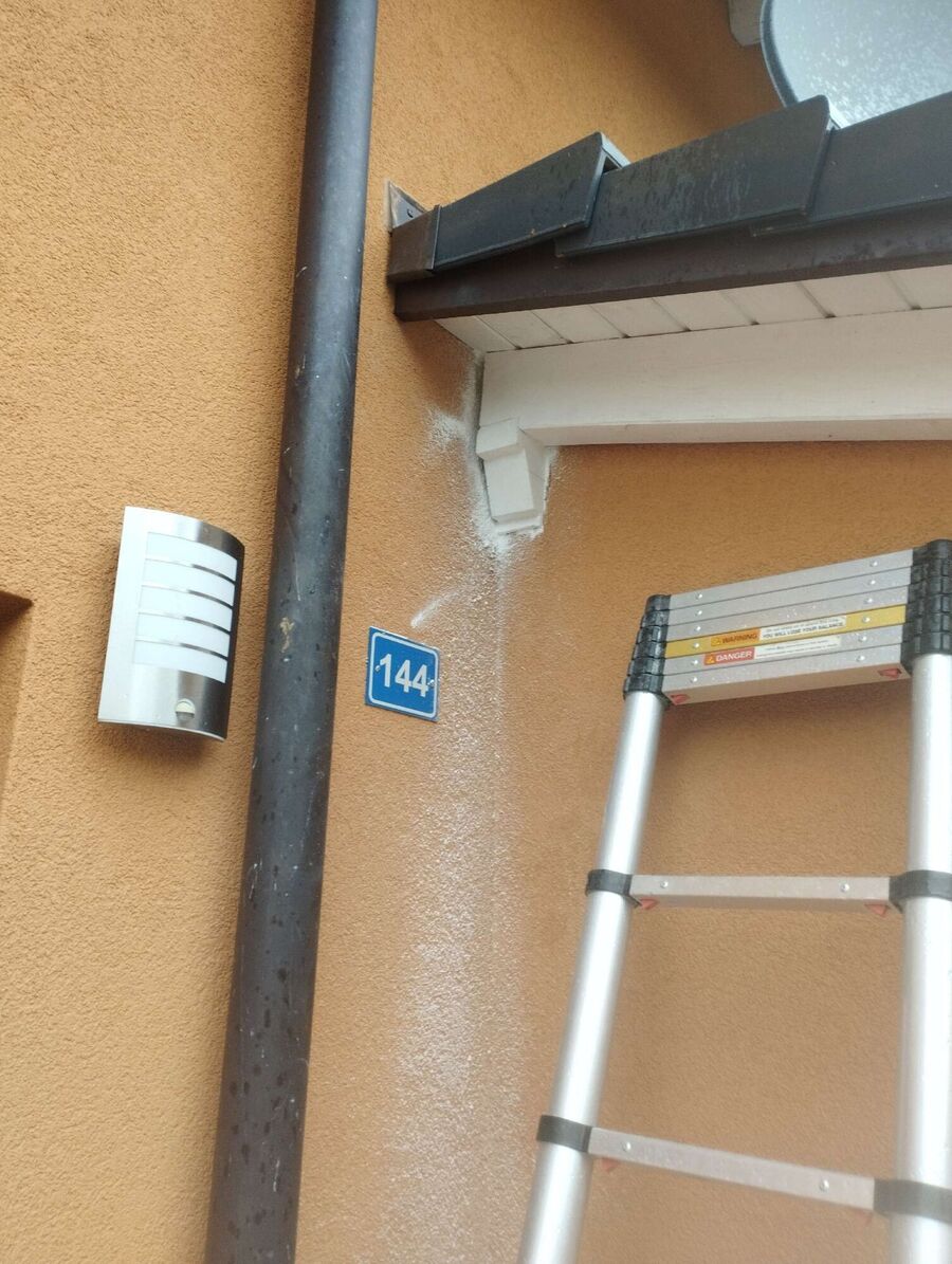 wespennest_entfernen