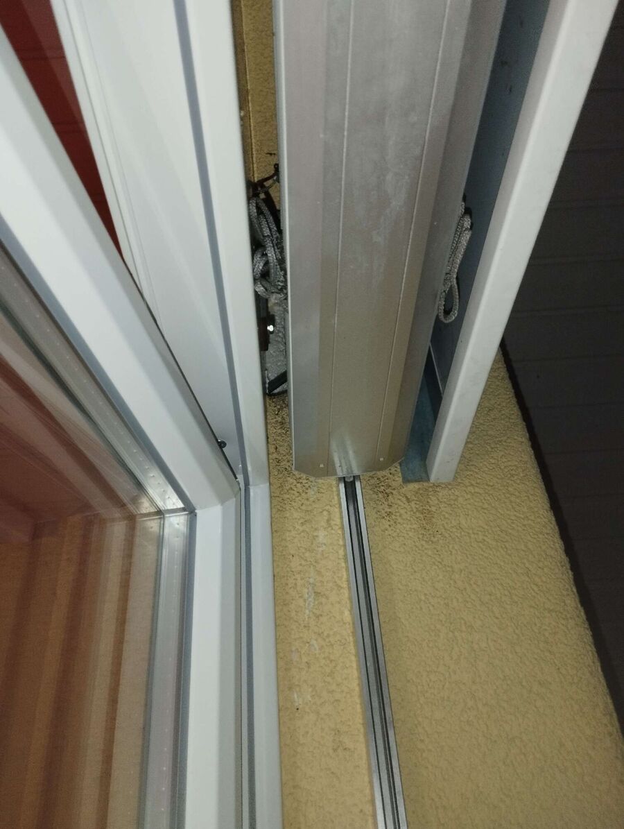 wespennest_entfernen