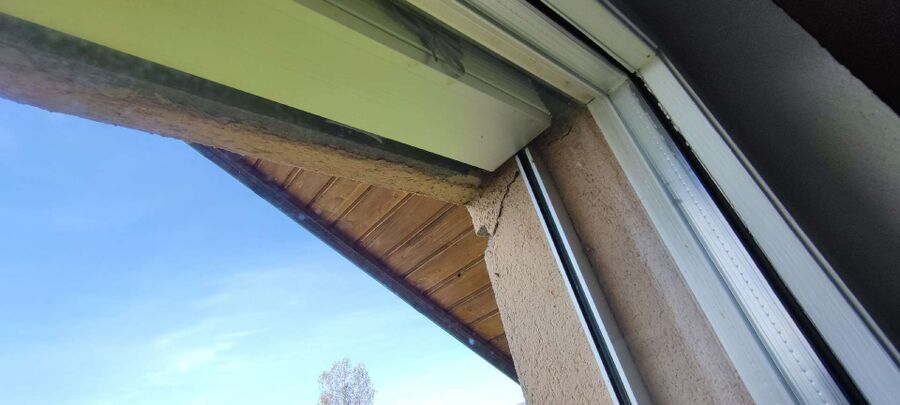 wespennest_entfernen