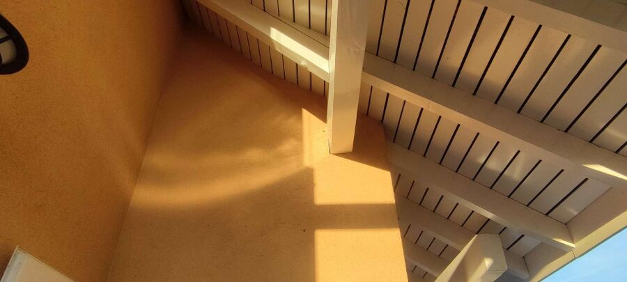 wespennest_entfernen