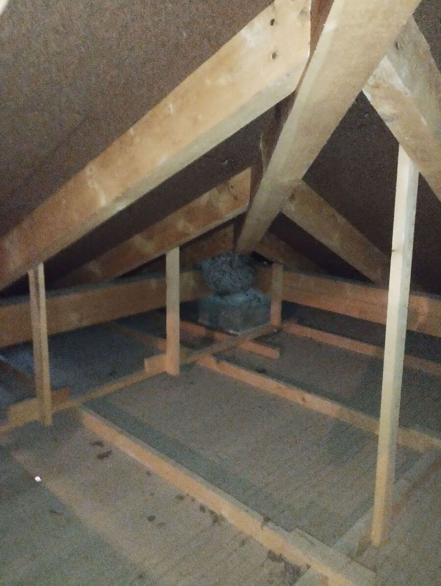 wespennest_entfernen