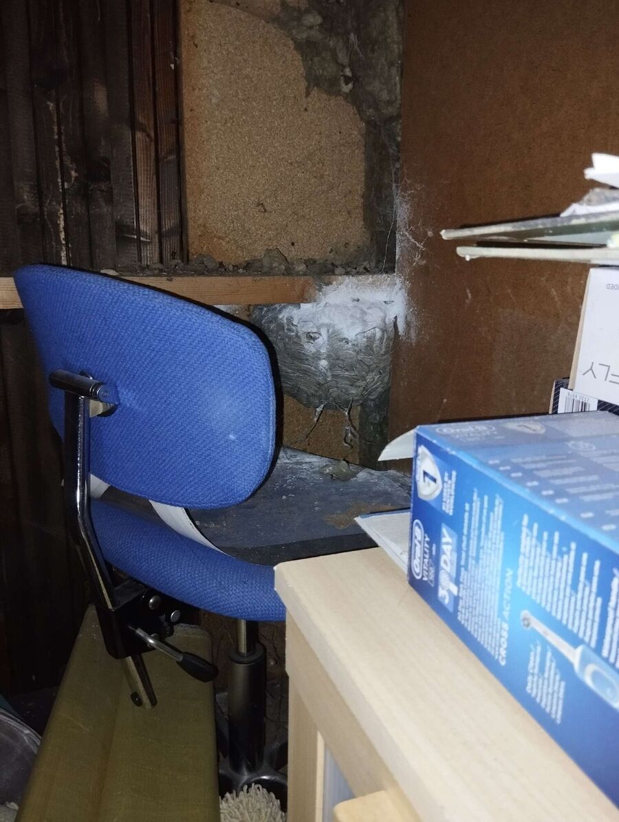 wespennest_entfernen