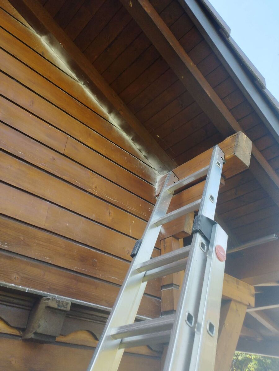 wespennest_entfernen