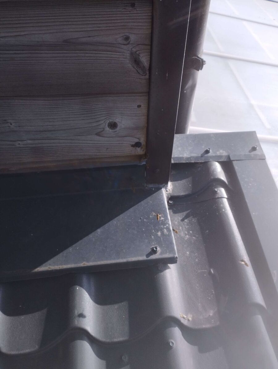 wespennest_entfernen