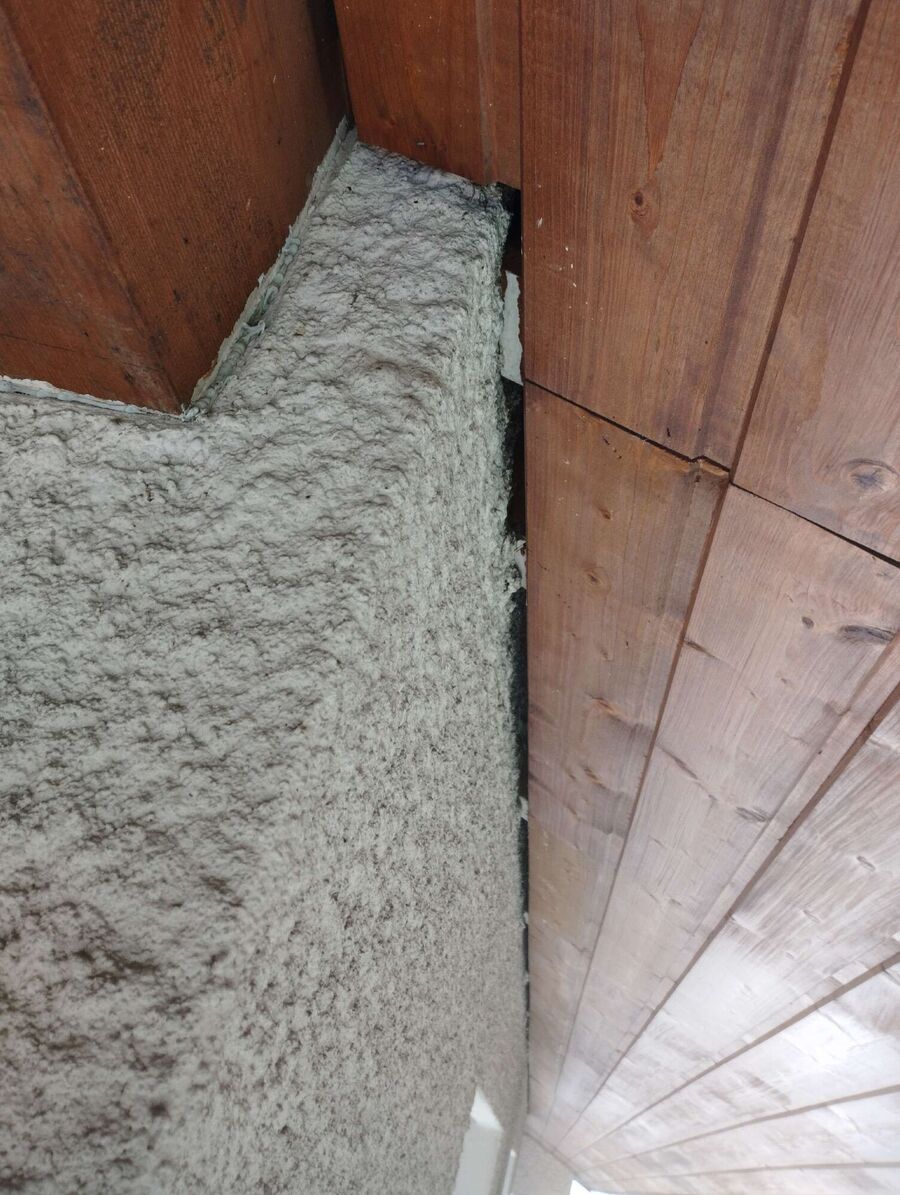 wespennest_entfernen