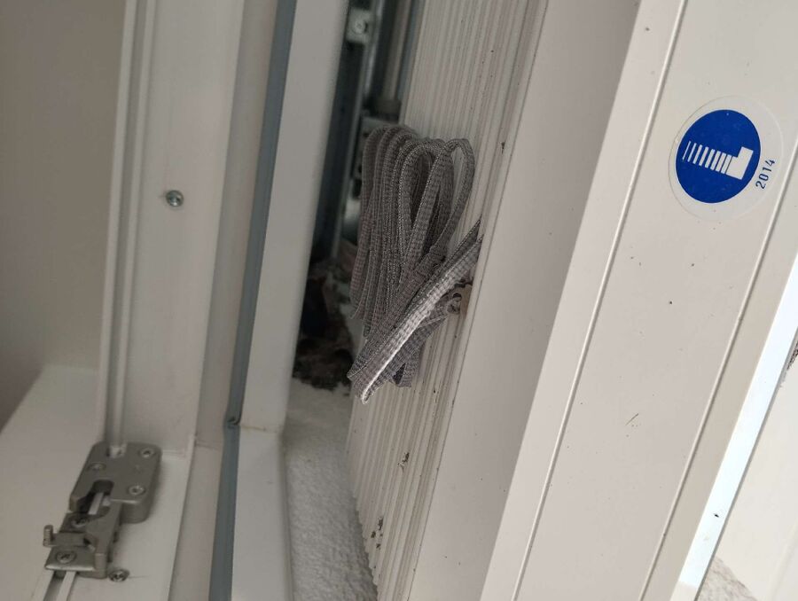 wespennest_entfernen