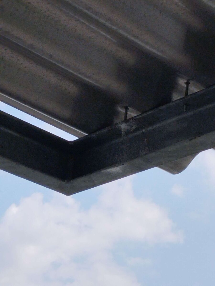 wespennest_entfernen