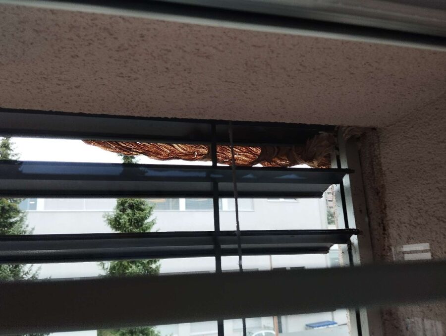 wespennest_entfernen