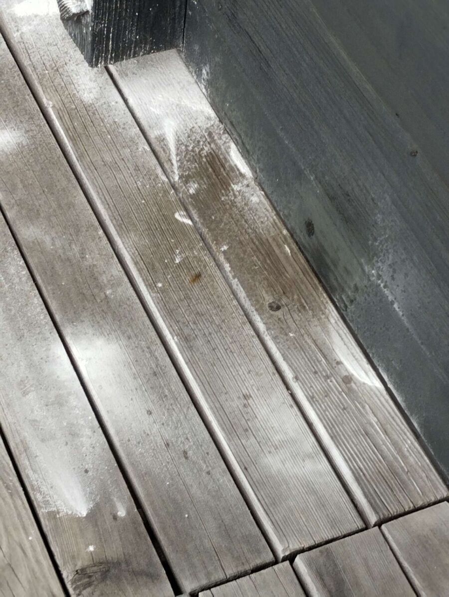 wespennest_entfernen