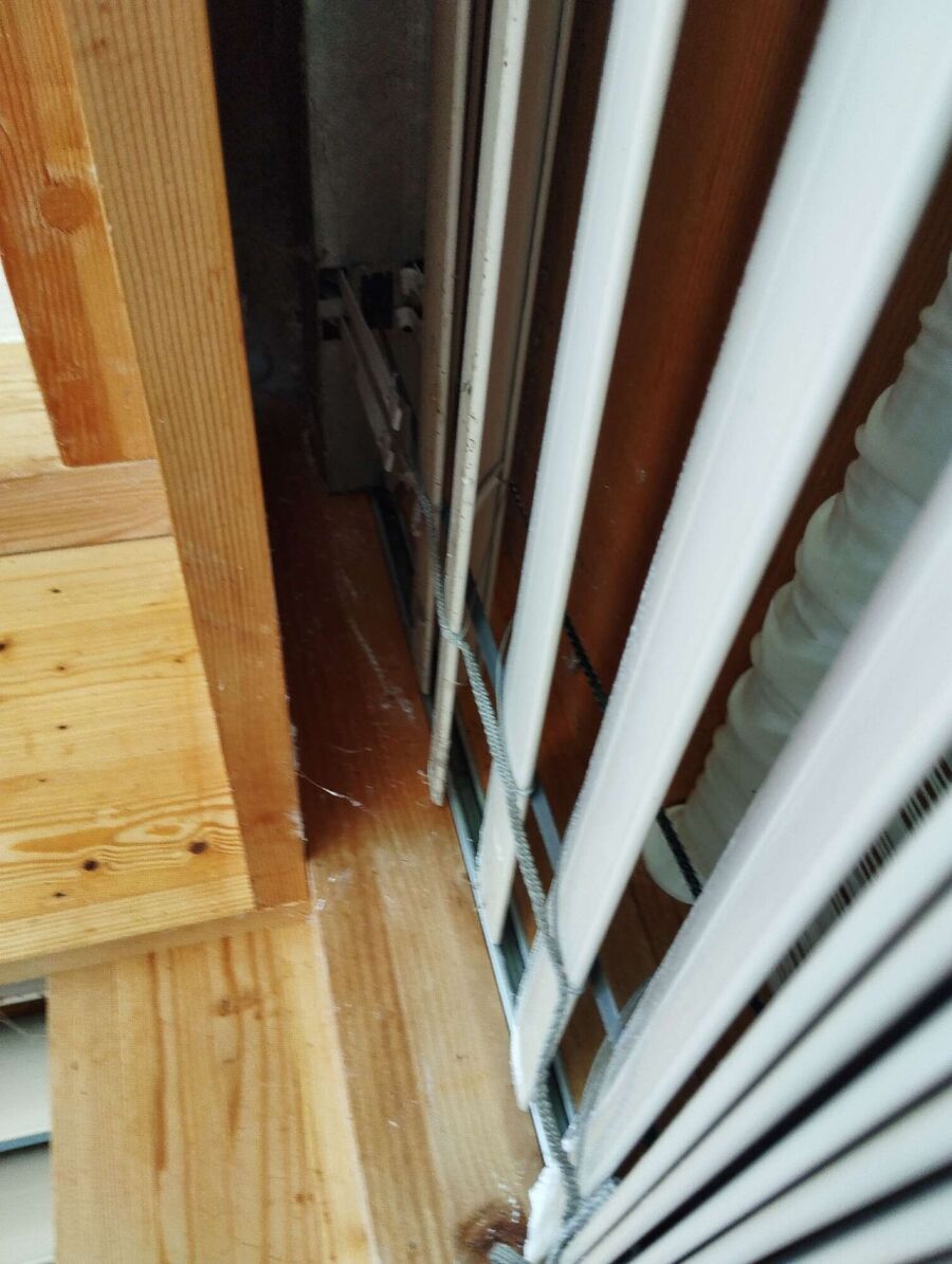 wespennest_entfernen