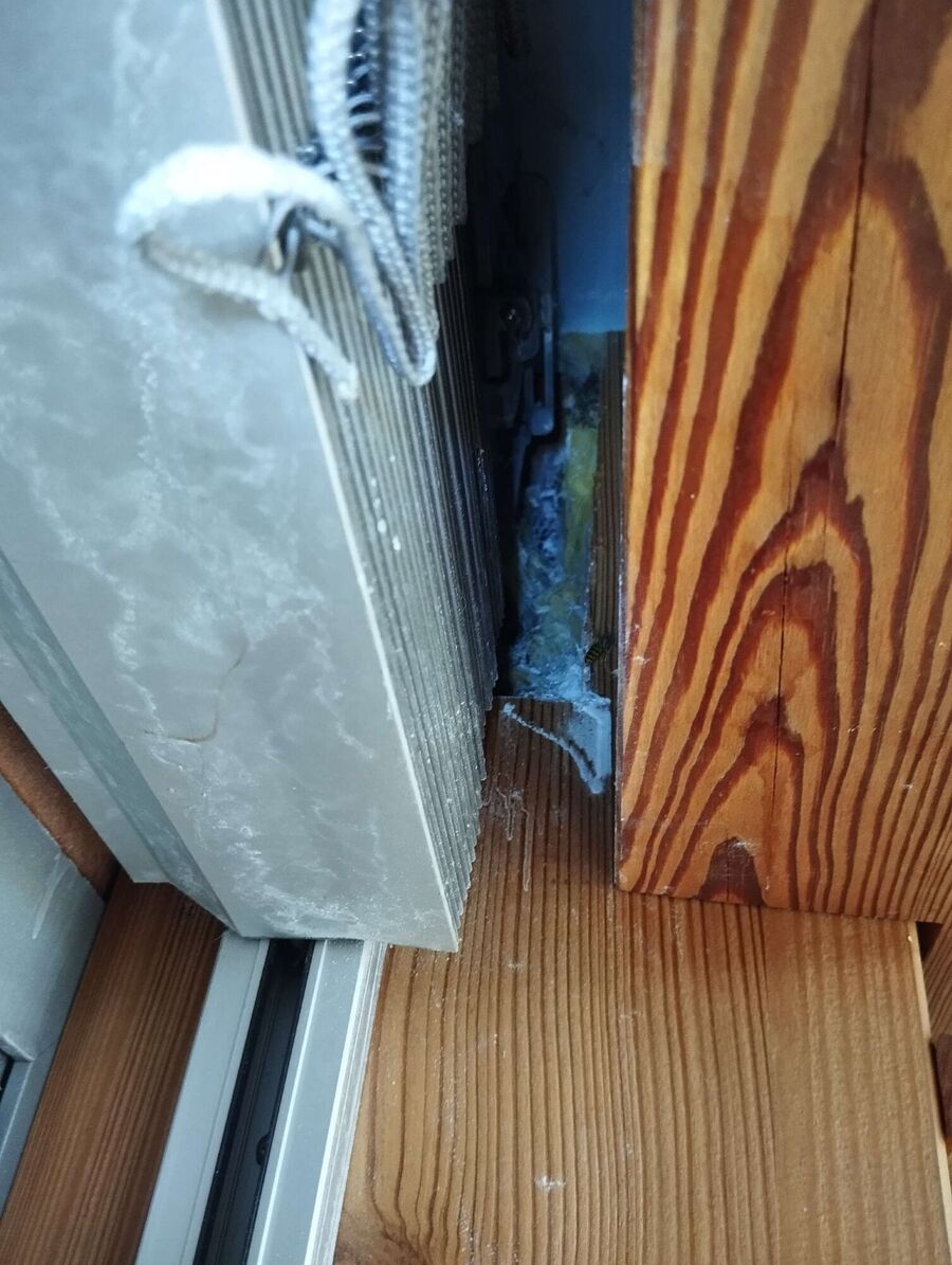 wespennest_entfernen