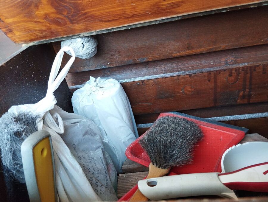 wespennest_entfernen