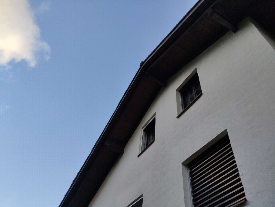 wespennest_entfernen