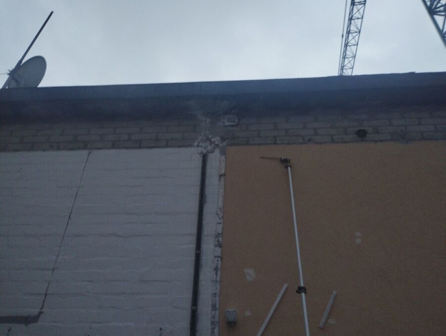 wespennest_entfernen