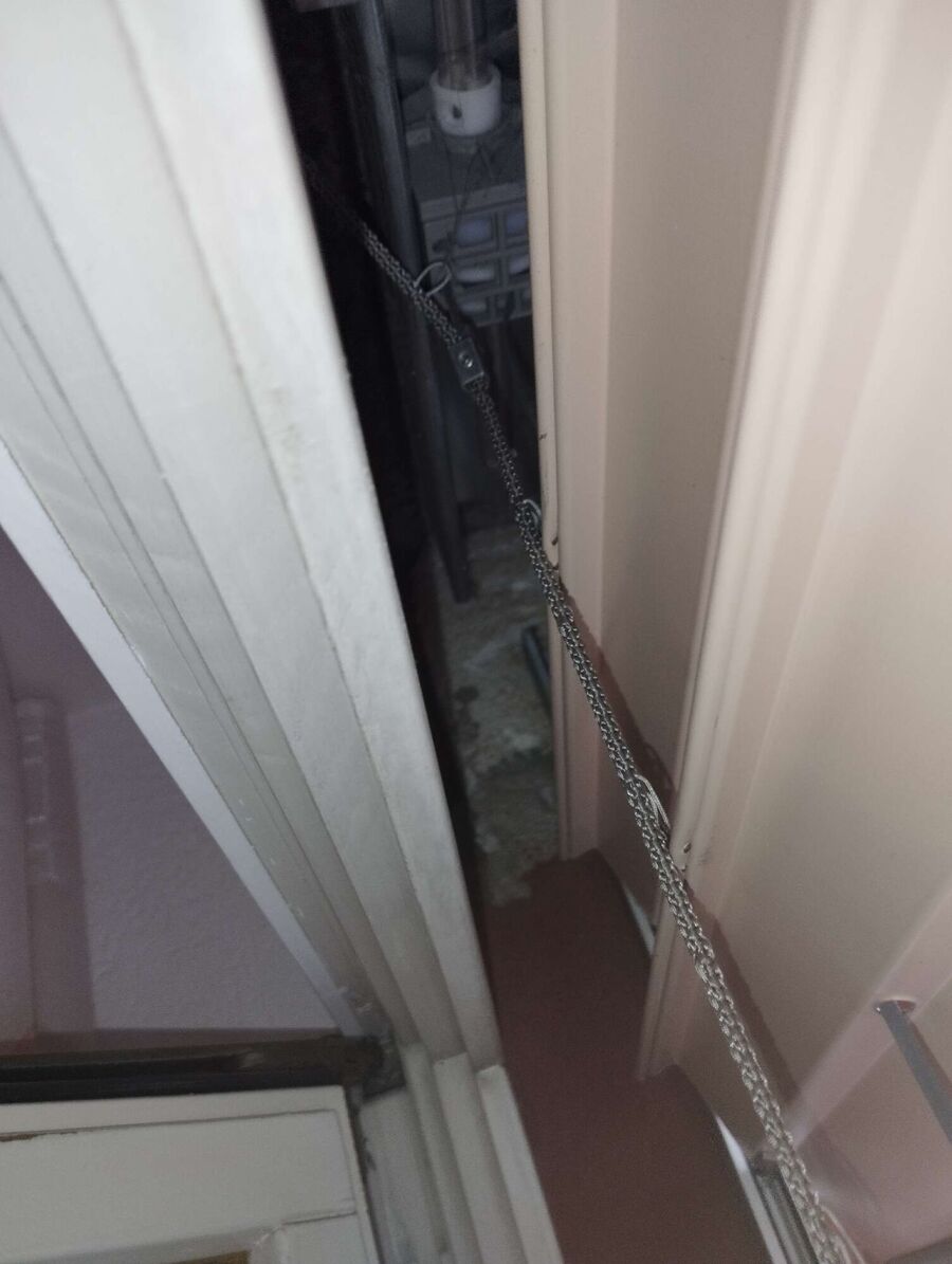 wespennest_entfernen