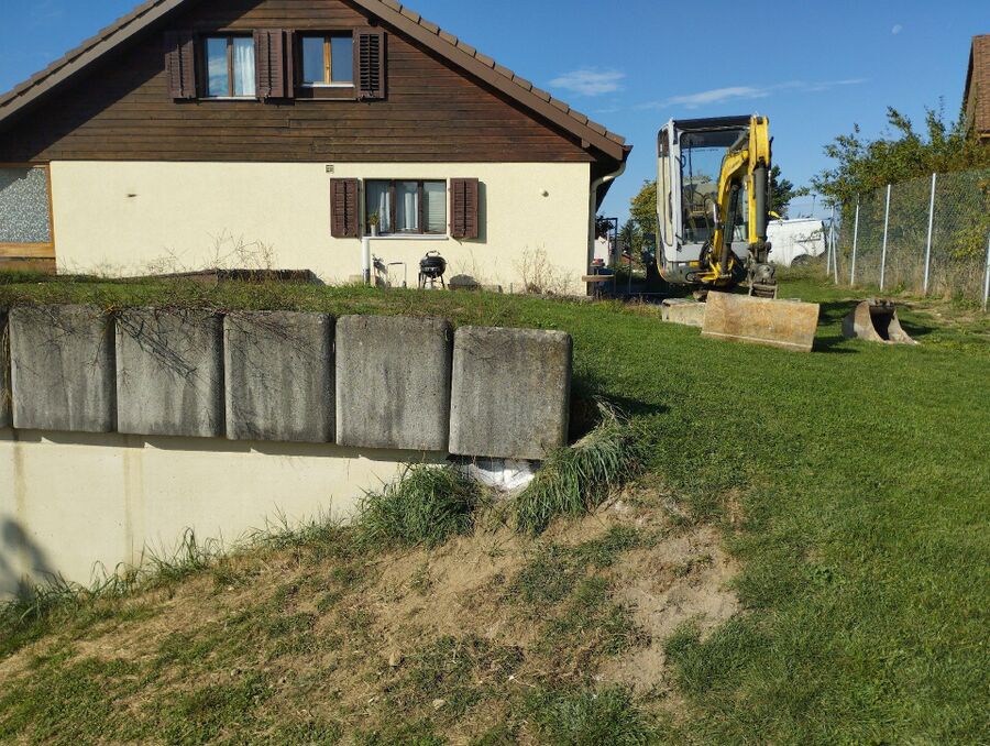 wespennest_entfernen